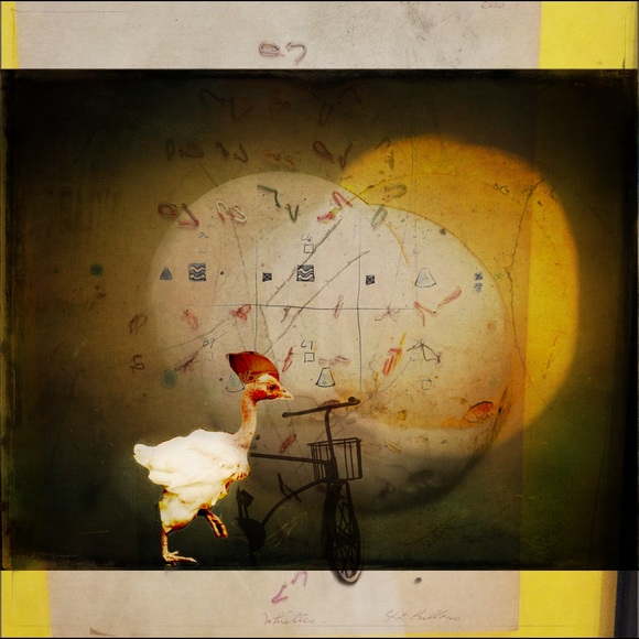 Meet your Posher, Karen - Picture 1 of 1